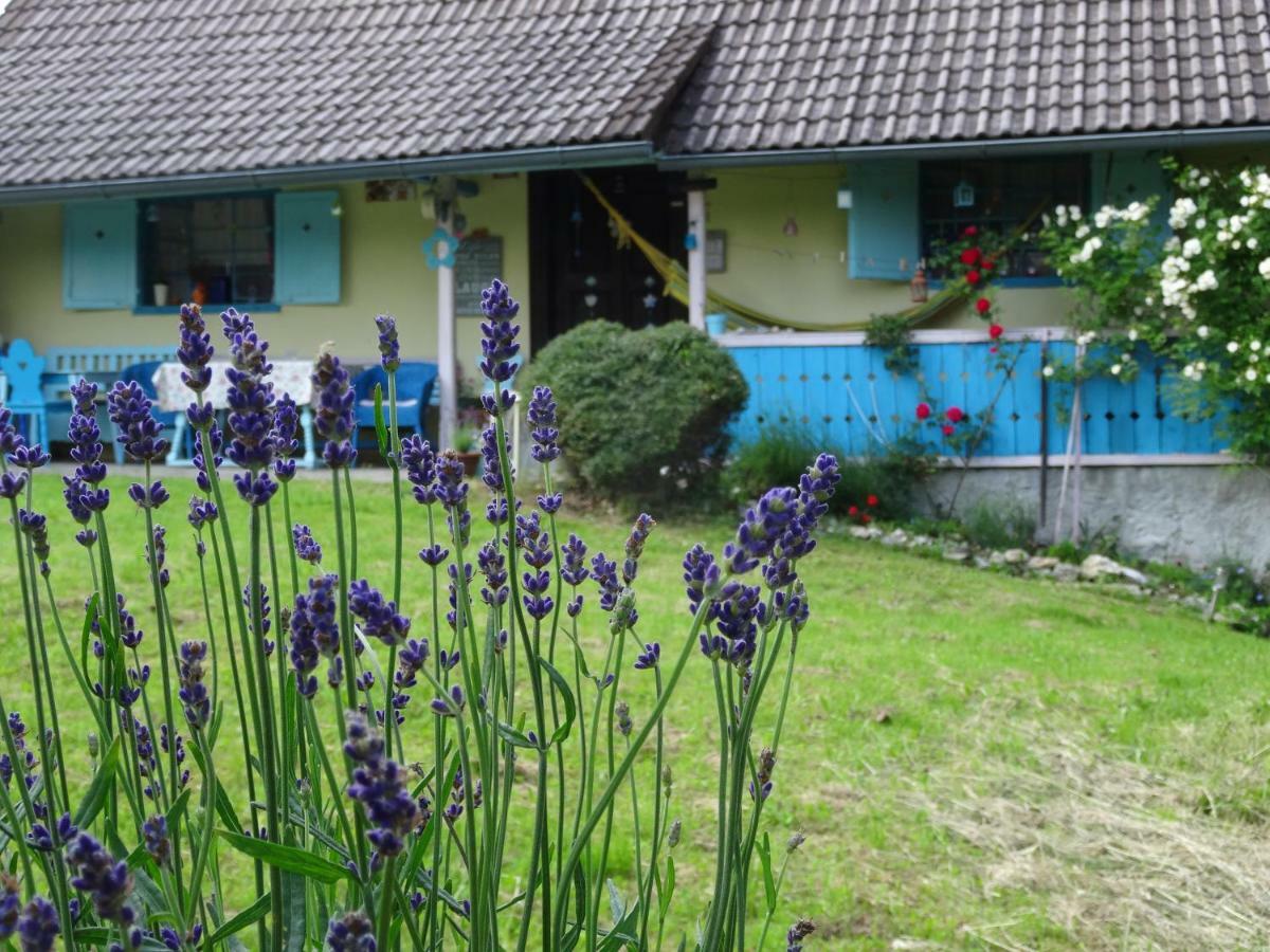 Podvrh  Blue Cottage מראה חיצוני תמונה